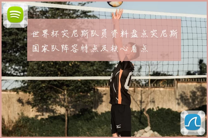 世界杯突尼斯队员资料盘点突尼斯国家队阵容特点及核心看点