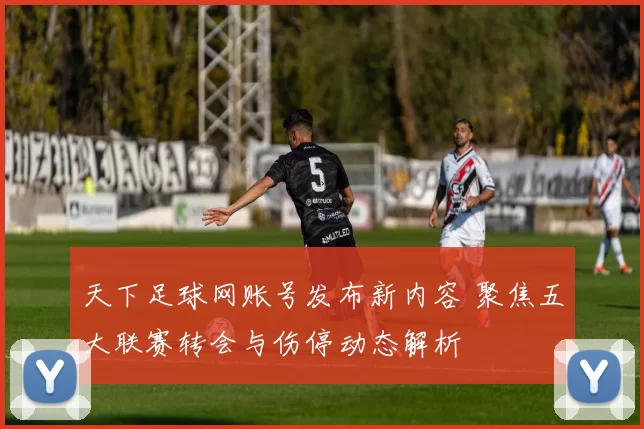 天下足球网账号发布新内容 聚焦五大联赛转会与伤停动态解析