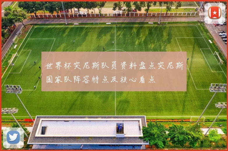 世界杯突尼斯队员资料盘点突尼斯国家队阵容特点及核心看点