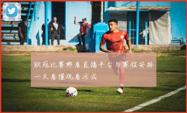 欧冠比赛哪看直播平台与赛程安排一文看懂观看方式